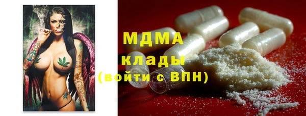 прущие грибы Дмитриев
