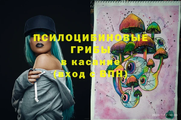 прущие грибы Дмитриев