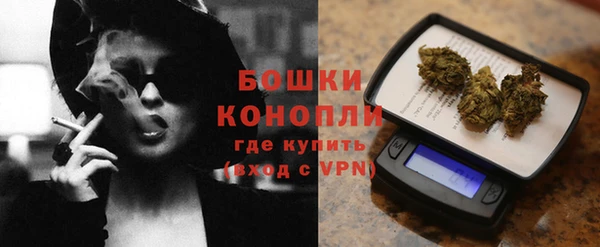 прущие грибы Дмитриев