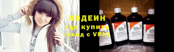 прущие грибы Дмитриев
