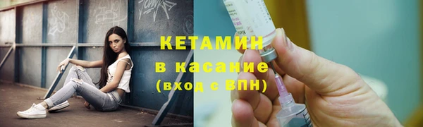 прущие грибы Дмитриев