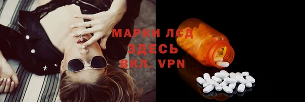 прущие грибы Дмитриев