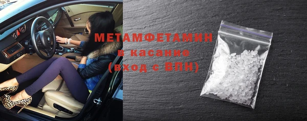 прущие грибы Дмитриев