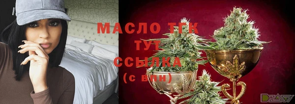 стафф Гусев