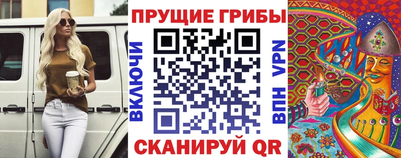 купить наркоту  Благовещенск  Псилоцибиновые грибы Cubensis 